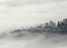 Misty Morning - Derwent Valley
